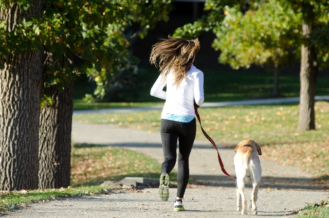 犬と散歩で有酸素運動！